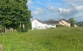 le petit loup